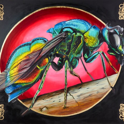 $4800

Jewel Wasp

The jewel wasp’s metallic body shimmers against a bold, luminous background. Iridescent greens and blues emphasize the insect’s armor-like shell, while gold elements frame the subject like a small icon. Rendered at an enlarged scale, the wasp becomes less a specimen and more a presence—inviting the viewer to consider the strange elegance of a creature often overlooked or feared. The painting explores the tension between beauty and unease that many insects evoke.

Medium: acrylic, ink, oil, and gold foil on canvas.
48" x 60"