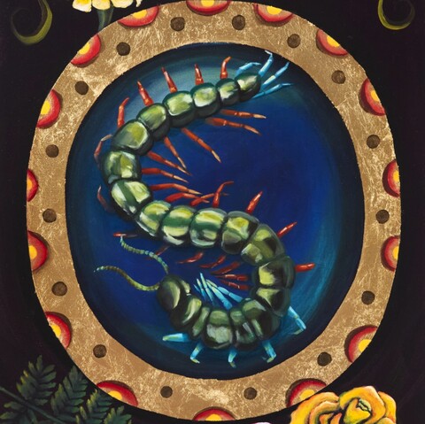 $400

Centipede

Crawling within a decorative circular frame, the centipede appears both elegant and unsettling. Its segmented body arcs rhythmically across a deep blue ground, inviting the viewer to appreciate the strange beauty of a creature often overlooked. The composition explores pattern, repetition, and movement.

Medium: acrylic, ink, oil, and gold foil on canvas.
18"x24"