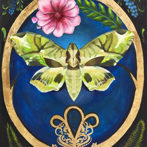 $2000

Luna Moth

A luna moth floats across a deep blue background framed by floral motifs. The wide wings and pale greens create a sense of quiet suspension, as though the moth has paused mid-flight. The piece reflects the fleeting beauty of nocturnal insects and their ephemeral lives.

Medium: acrylic, ink, oil, and gold foil on canvas.
30"x48"