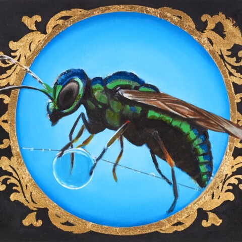 $275

Small Jewel Wasp

A jewel wasp balances delicately on a slender stem, its metallic greens and blues glowing against a luminous blue field. Framed by ornamental gold flourishes, the insect’s iridescent body becomes both scientific study and decorative icon. The composition highlights the surprising elegance and precision found in even the smallest creatures.

Medium: acrylic, ink, oil, and gold foil on canvas.
12"x9"